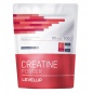  LevelUp Creatine Powder 500